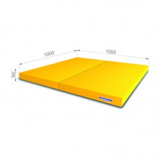 Мат гимнастический 1,0х1,0х0,06 метра складной